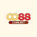 co88bet1